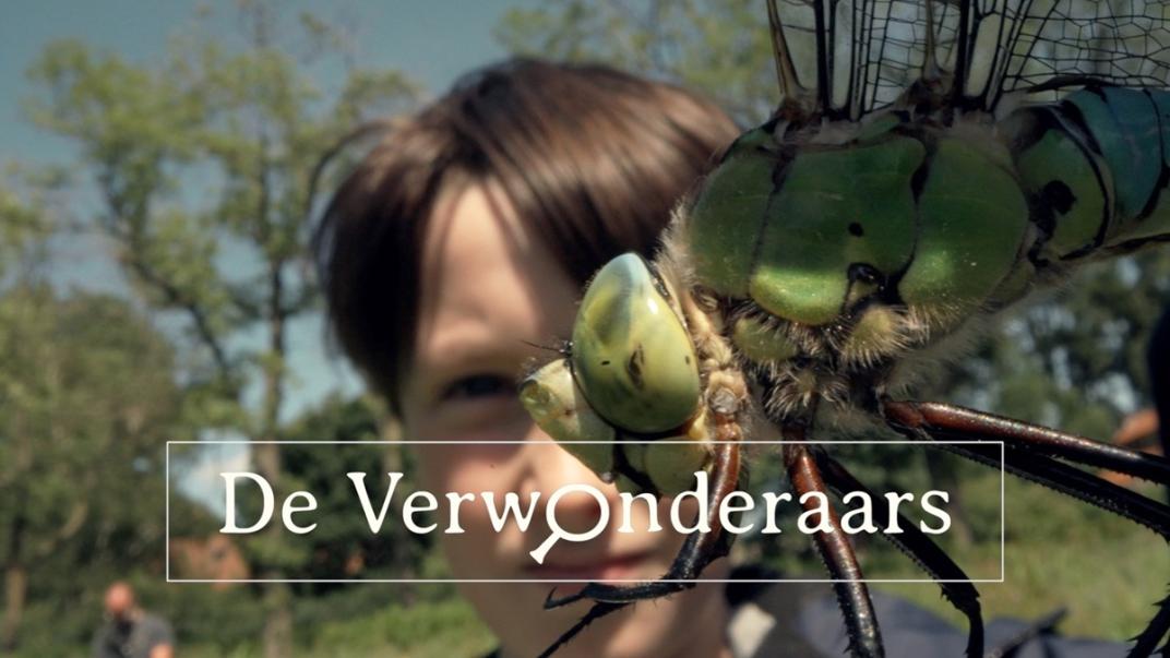 Film de Verwonderaars
