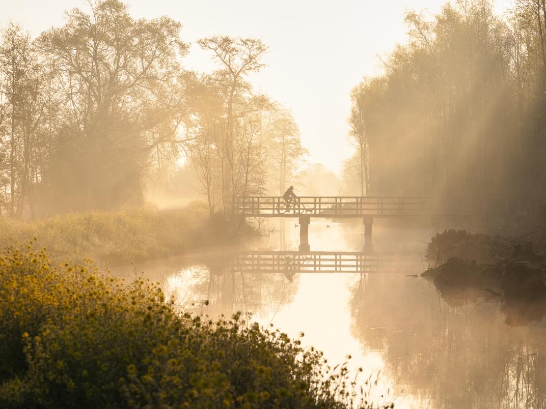 Foto van fietsbrug in de natuur door Edwin Stuit