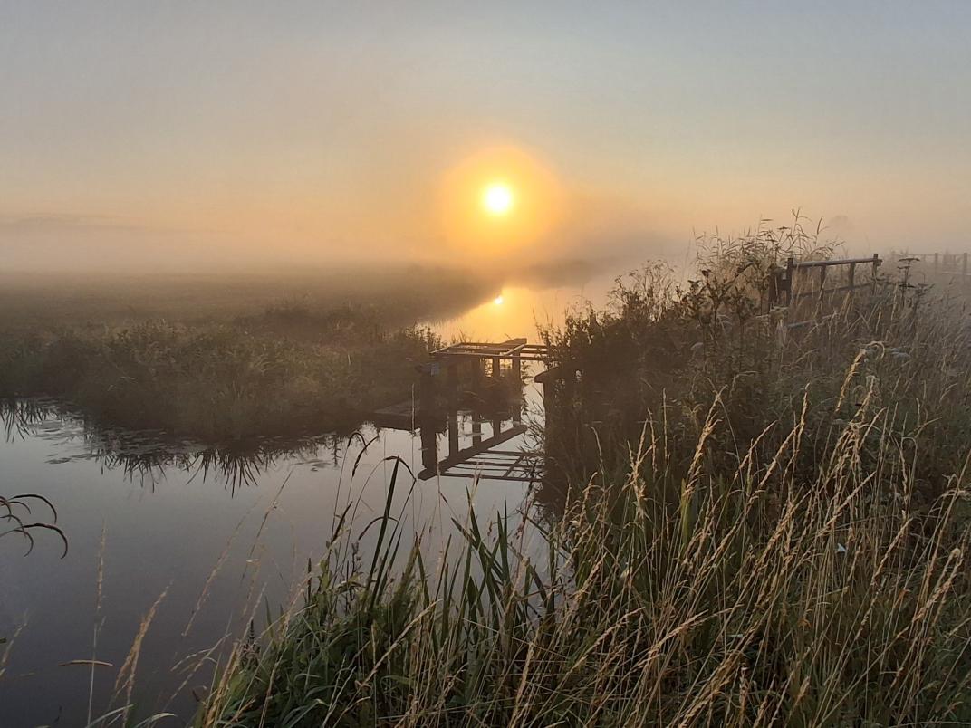 Foto van weidelandschap en water bij zonsopkomst door Wim Baas.