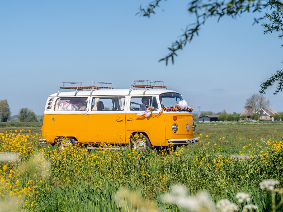 Bus in het weidelandschap