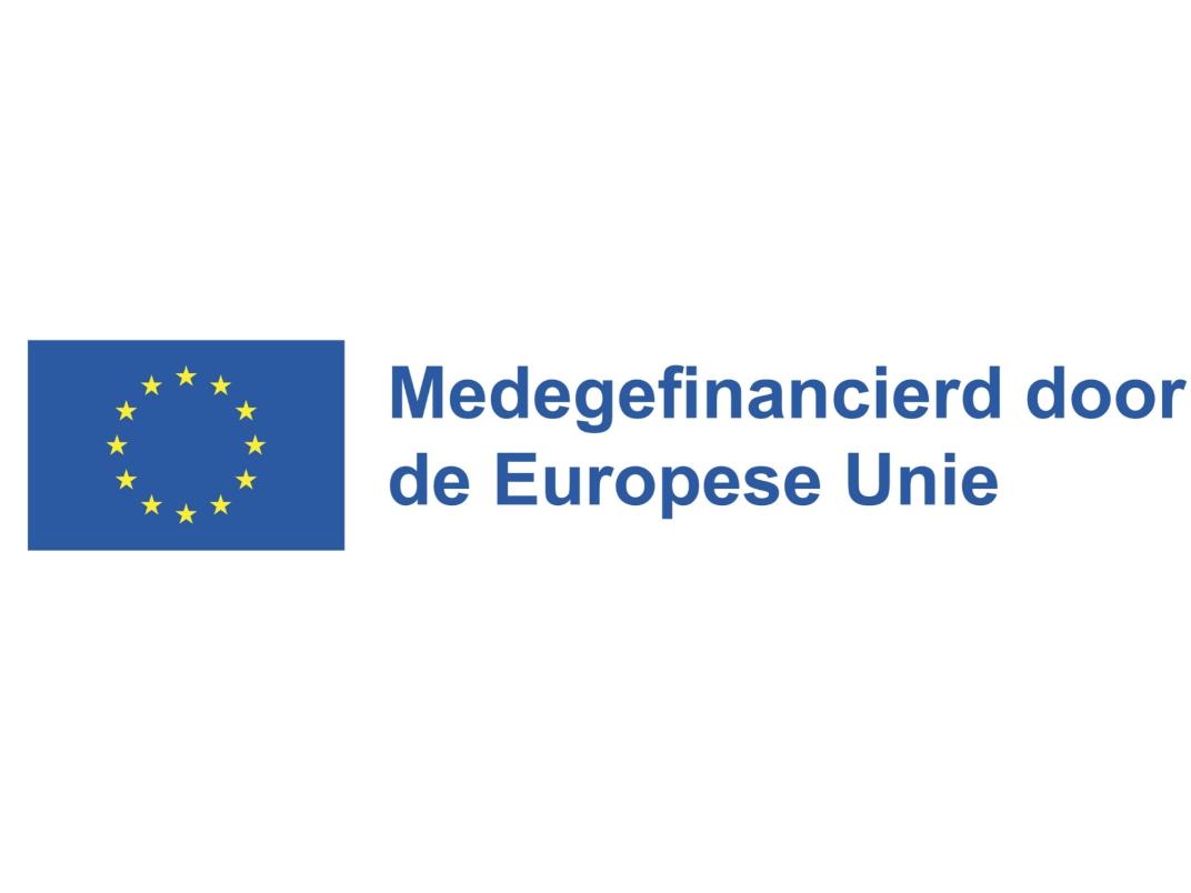 Logo van de Europese Unie met de tekst: Medegefinancierd door de Europese Unie.